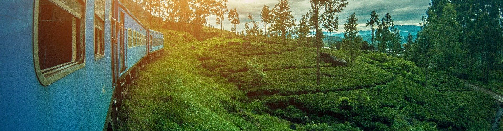 Voyages au Sri Lanka