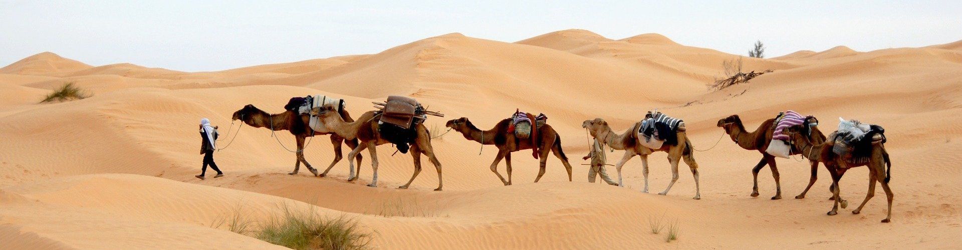 Voyages en Tunisie