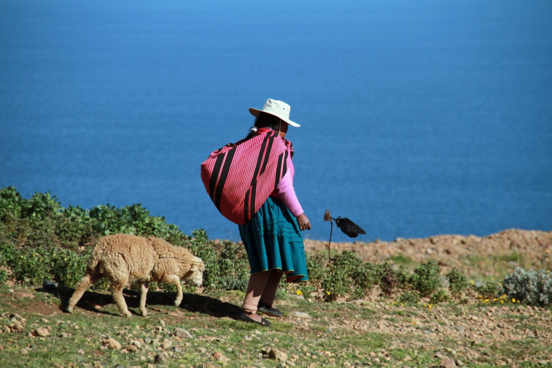 PUNO