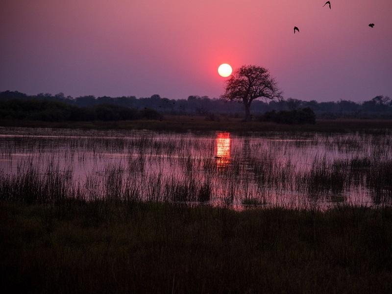 Le Botswana En Toute Confidentialité
