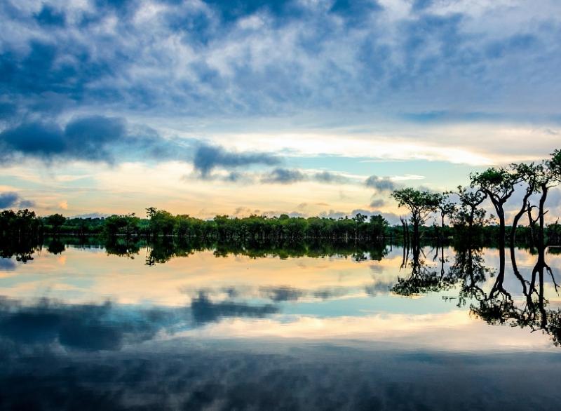 Extension Amazonie Incontournable